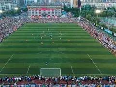 上海,岁新星再放,异彩,中国鸿发彩票网,足彩竞猜,鸿发彩票网,体彩竞猜