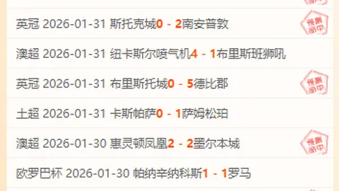 霍芬海姆与海登海姆战成平手1比1